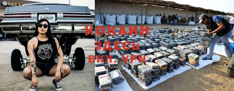 hydra ТОР  Курлово  Cocaine 99%  купить наркотики сайты 